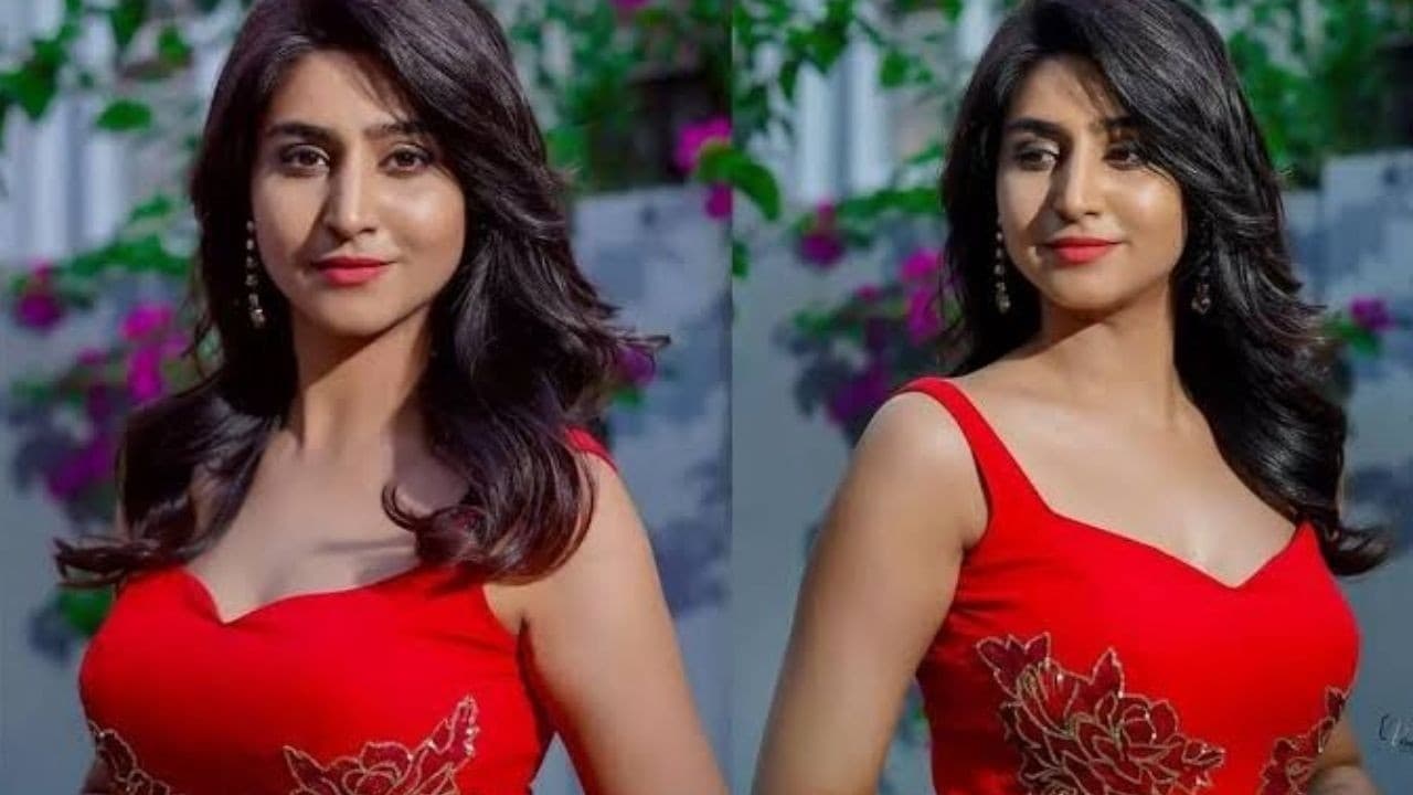 బోల్డ్ పర్సనాలిటీ.. భారీ ఫాలోయింగ్.. హౌస్ లోకి ఈమె ఎంట్రీ ఇస్తే కుర్రాళ్లు చూపు తిప్పుకోలేరు