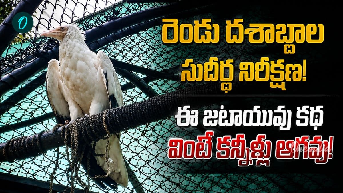 రెండు దశాబ్దాలుగా తోడు లేకుండానే.. 'జటాయువు' జీవితంలో ఊహించని మలుపు